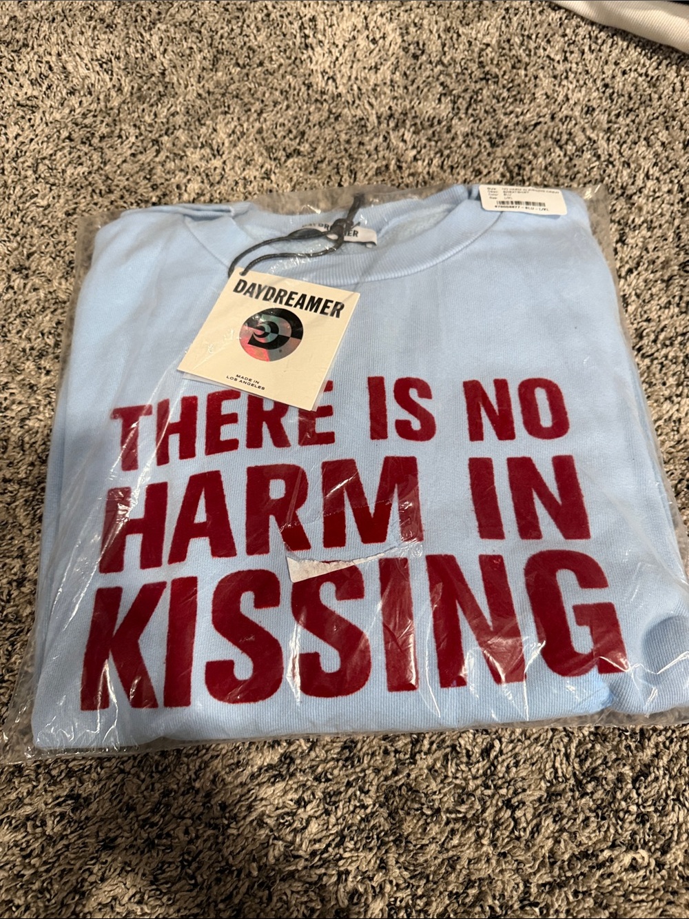 Daydreamer Light Blue Sweatshirt with Red Slogan Print